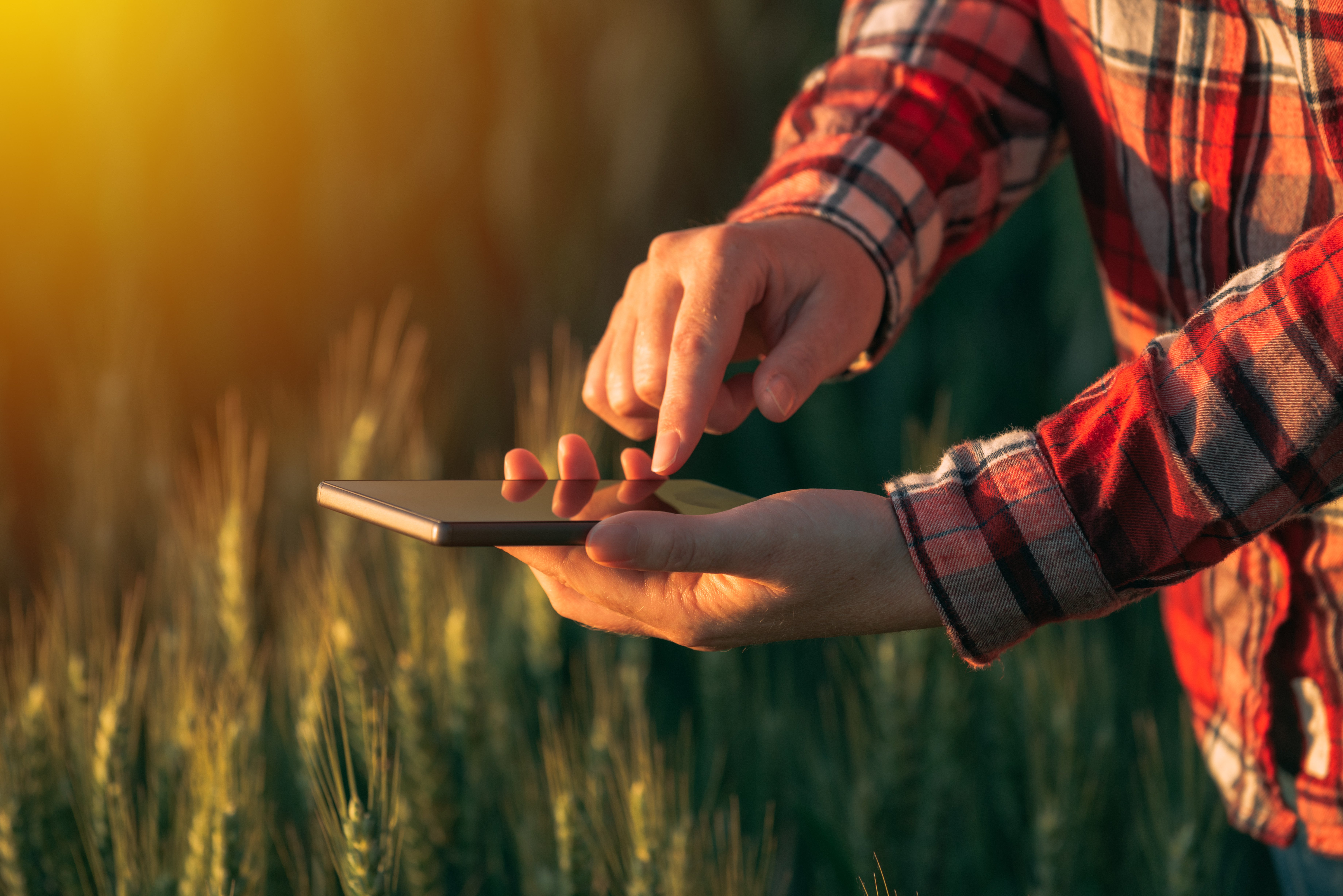 Yara FarmCare - Smart Tools for Oil Palm Farm Management