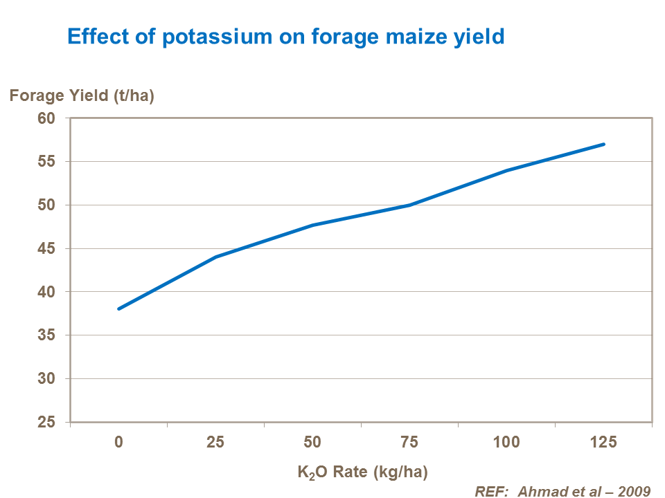 Effect of potassium on forage maize yield