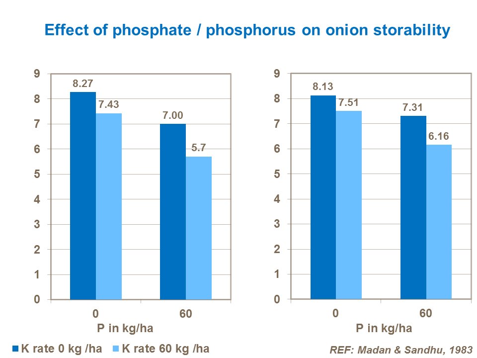Effect of phosphate  on onion storability